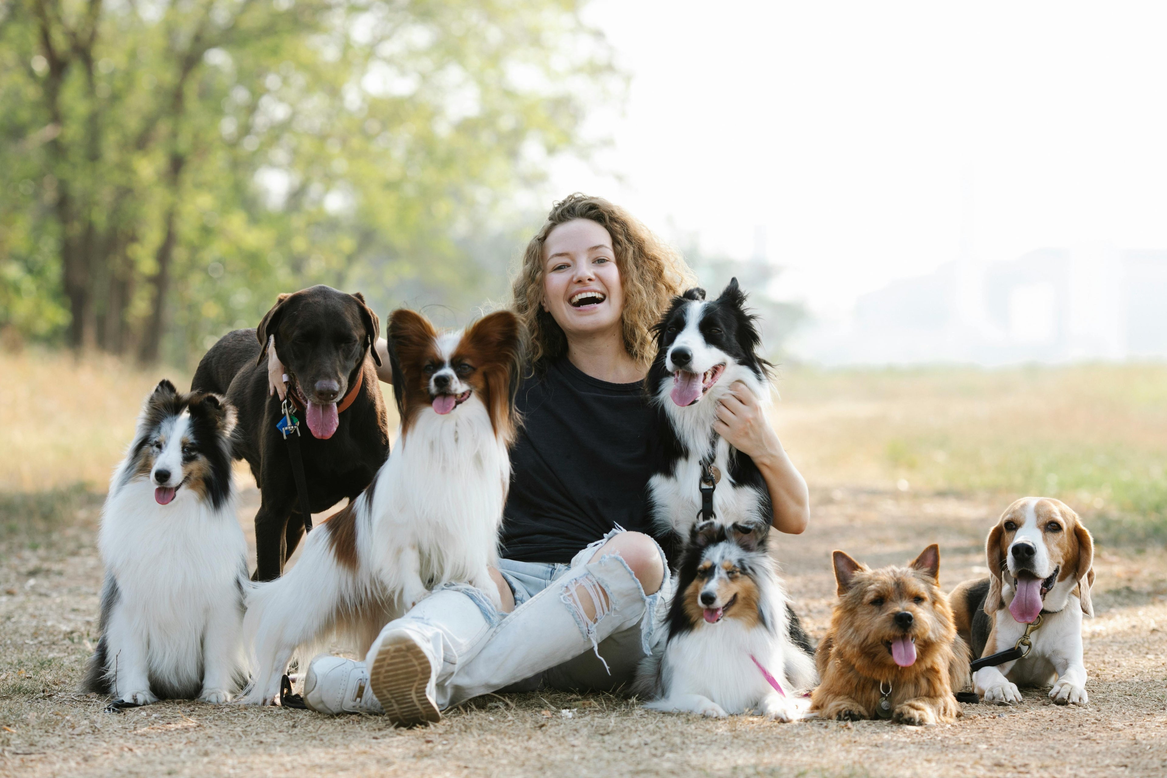 Because when you feel good, your pet does too.